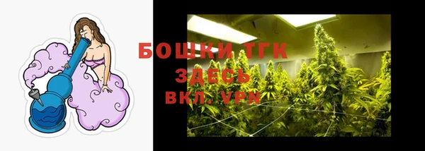 экстази Горняк