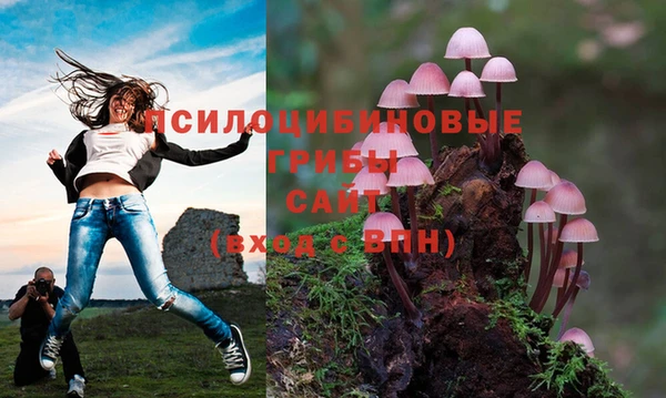 гашишное масло Горно-Алтайск